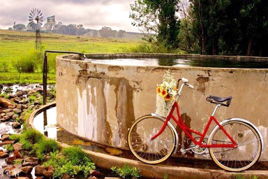 DE103 Wall décor art photographic on canvas landscape red bicycle by dam wall